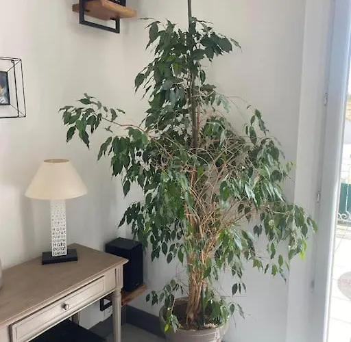 Maison De Famille 3 Ile De Re 度假居